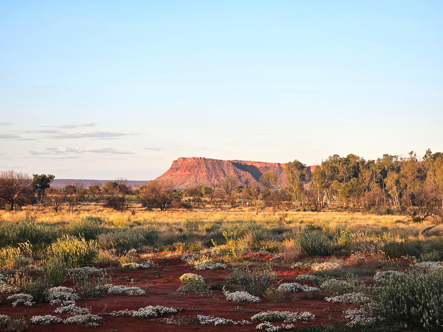 15 Days Road Tripping The Red Centre