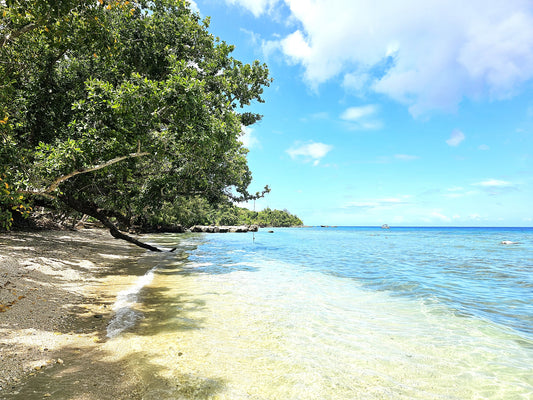 12 Days in Vanuatu