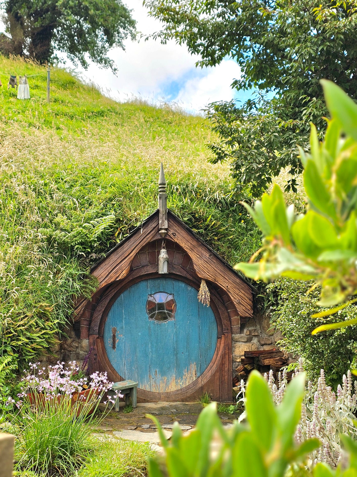 Exploring New Zealand