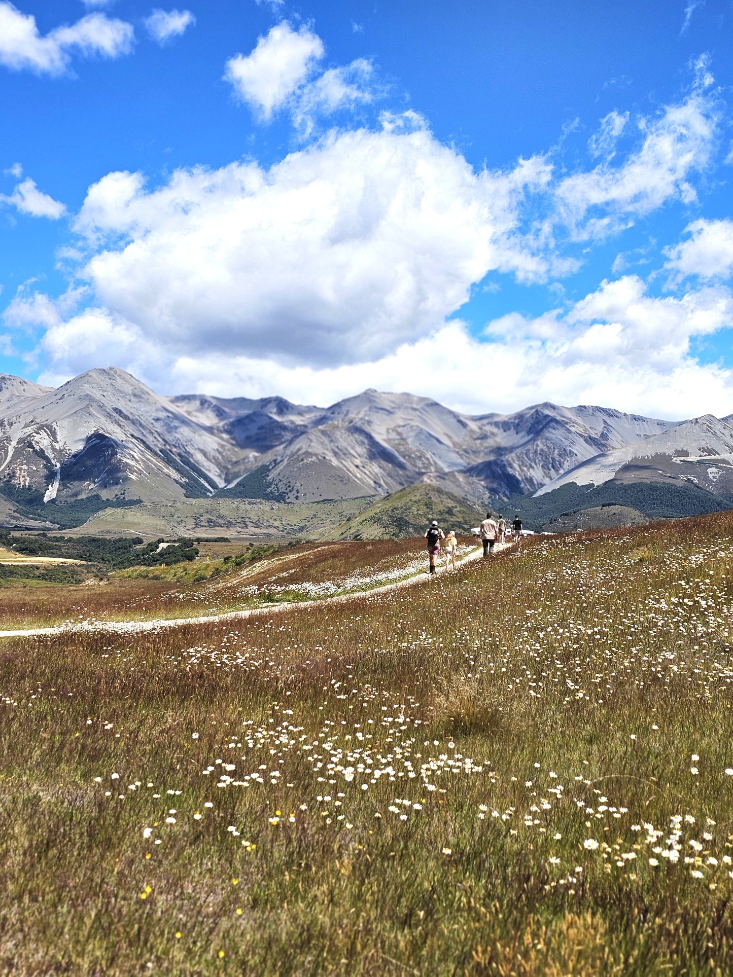 Exploring New Zealand