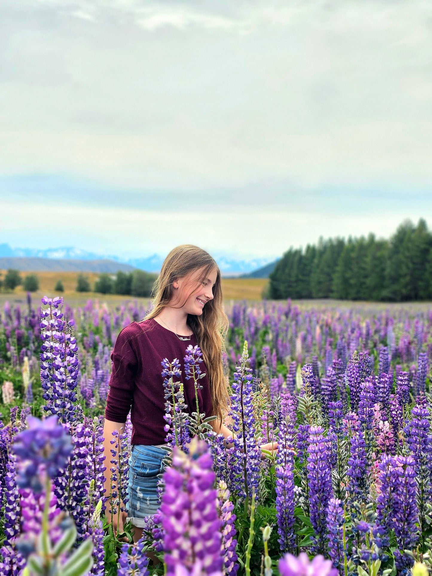 Exploring New Zealand