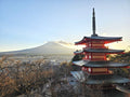 17 Days in Japan