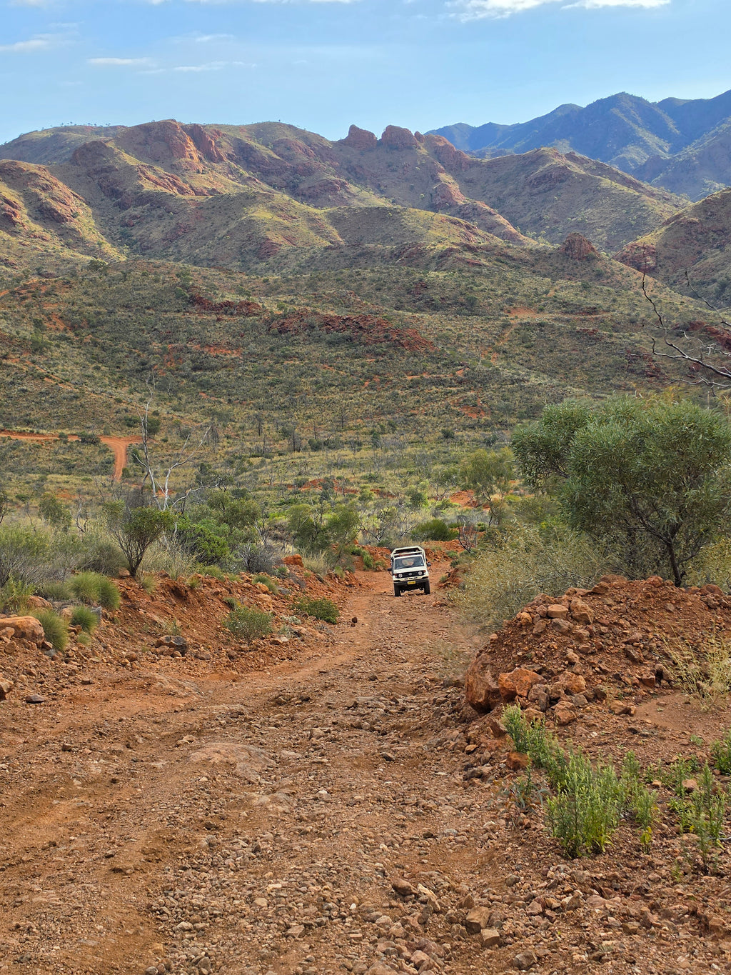 12 Days through Flinders Ranges & The Oodnadatta Track