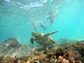 100 Days Exploring Western Australia