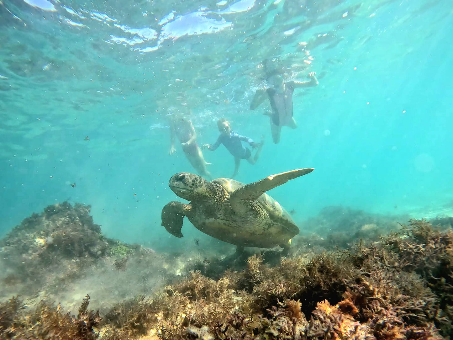 100 Days Exploring Western Australia