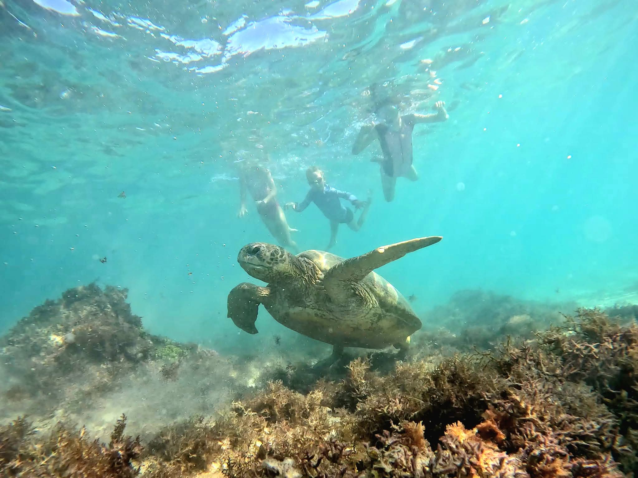 100 Days Exploring Western Australia